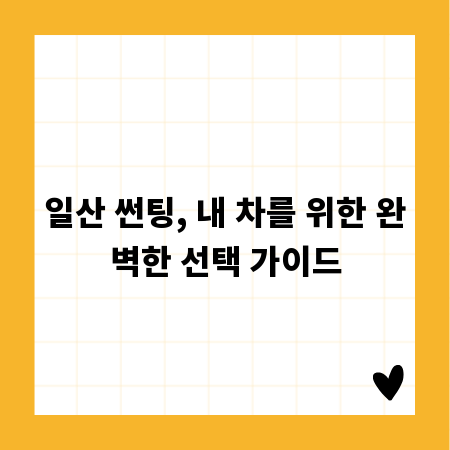 내 차를 빛낼 일산 썬팅, 업체 선택의 모든 것