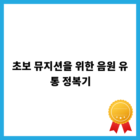 초보 뮤지션을 위한 음원 유통 정복기