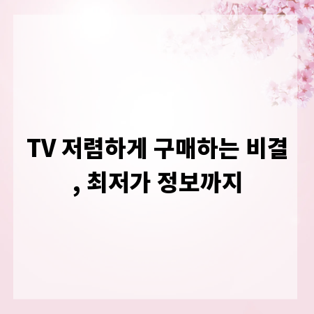 TV 저렴하게 구매하는 비결, 최저가 정보까지