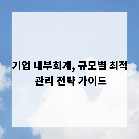 기업 내부회계, 규모별 최적 관리 전략 가이드