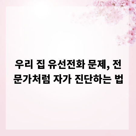 우리 집 유선전화 문제, 전문가처럼 자가 진단하는 법