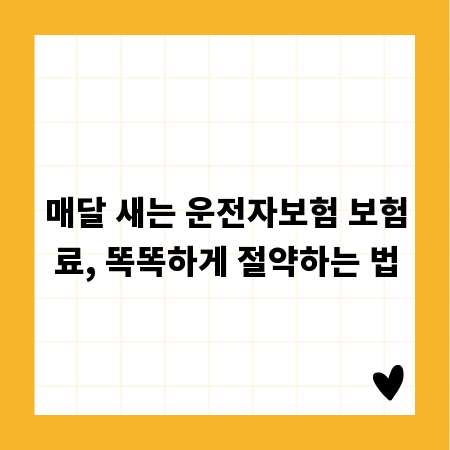 매달 새는 운전자보험 보험료, 똑똑하게 절약하는 법