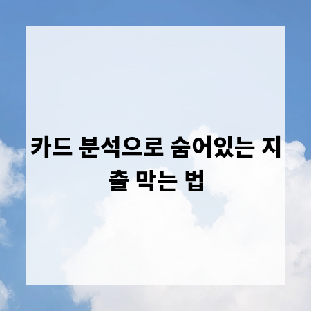 카드 분석으로 숨어있는 지출 막는 법