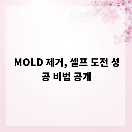 MOLD 제거, 셀프 도전 성공 비법 공개