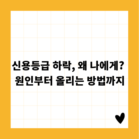 신용등급 하락, 왜 나에게? 원인부터 올리는 방법까지