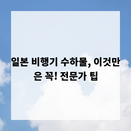 일본 비행기 수하물, 이것만은 꼭! 전문가 팁