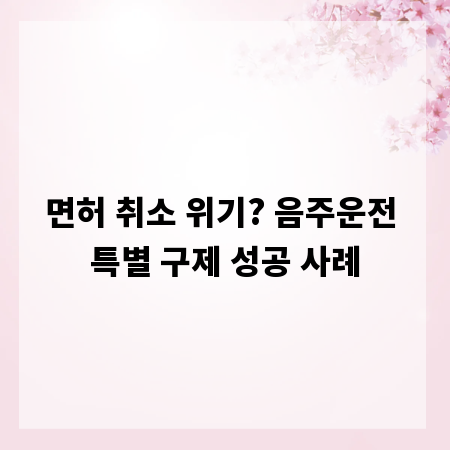 면허 취소 위기? 음주운전 특별 구제 성공 사례
