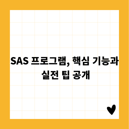 SAS 프로그램, 핵심 기능과 실전 팁 공개
